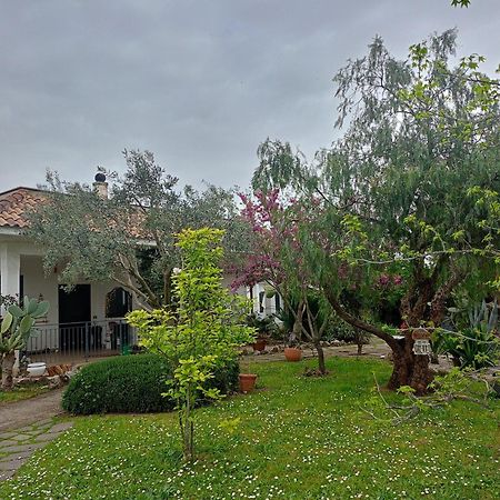 Hotel La Casa Di Fede Lanuvio Exterior foto